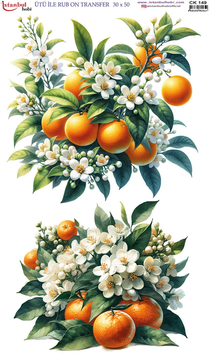 Ütü İle Rub On Transfer 30x50cm CK149