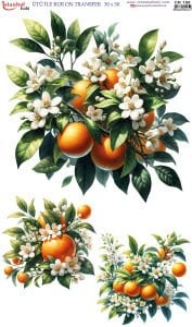 Ütü İle Rub On Transfer 30x50cm CK150