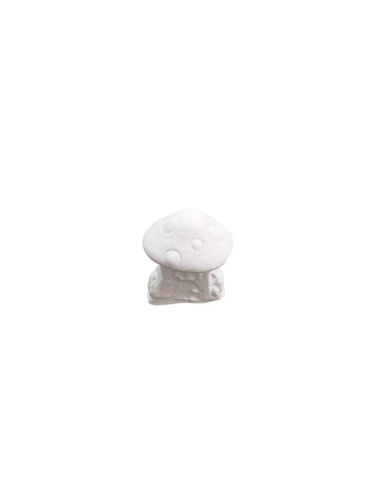 Mantar Ev No:4 - 3x2,5cm
