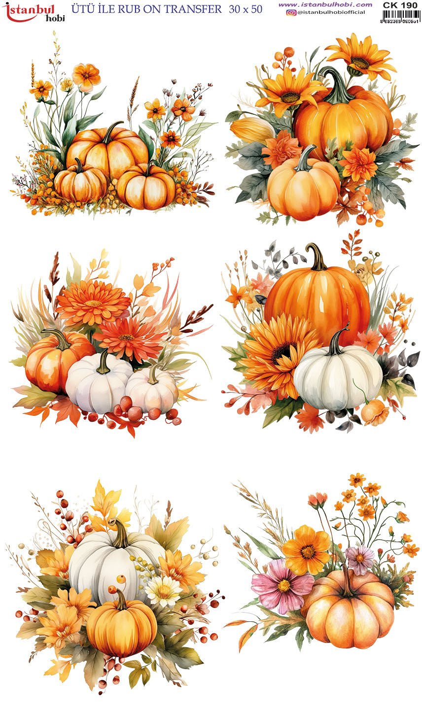 Ütü İle Rub On Transfer 30x50cm CK190