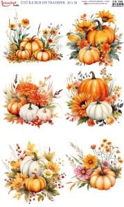 Ütü İle Rub On Transfer 30x50cm CK190