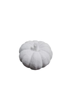 Düz Saplı Bal Kabağı 7,5x4,5cm